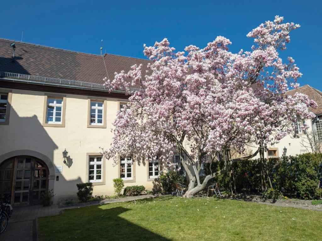 Hotel & Cafe Ritter Von Boehl Deidesheim Eksteriør bilde